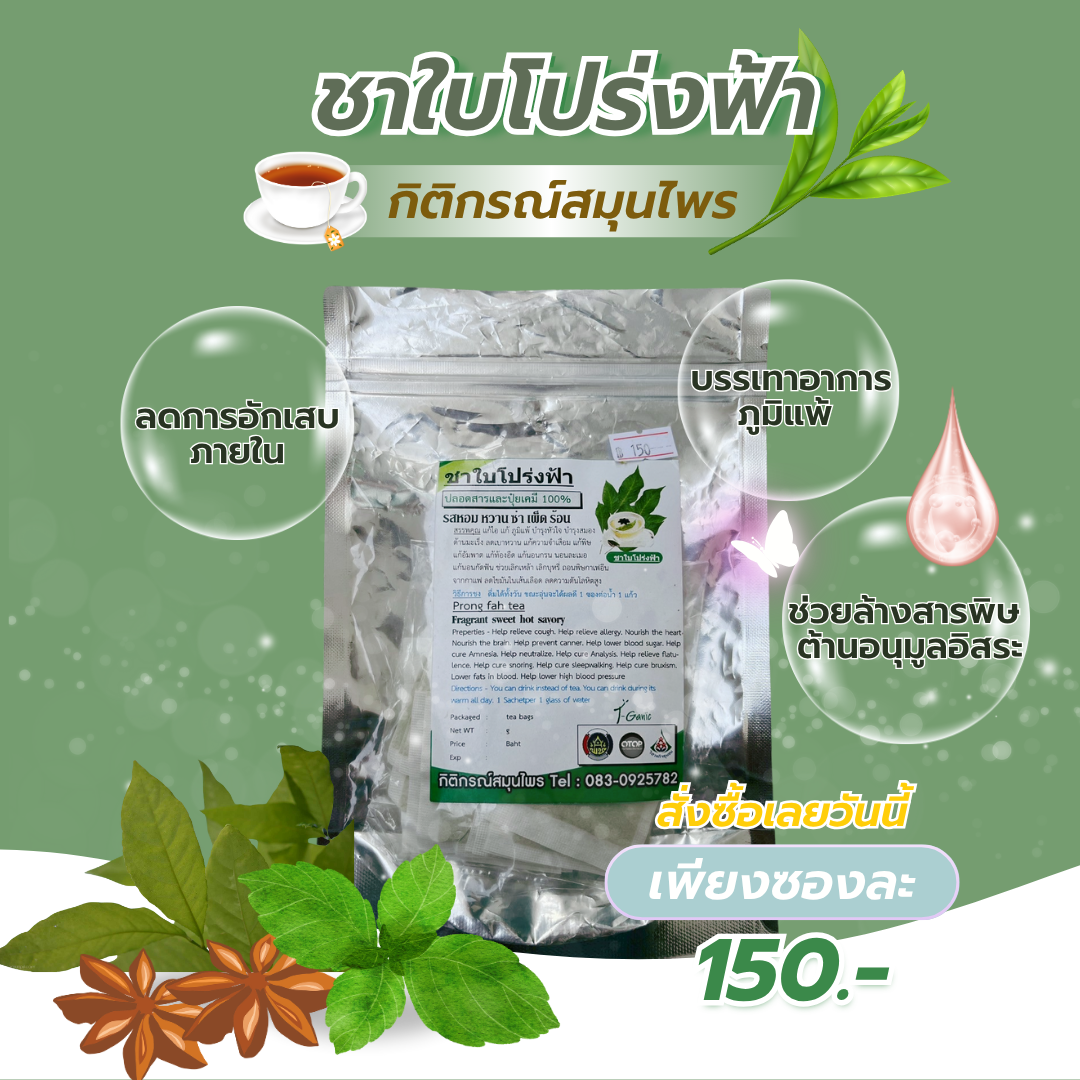 ชาใบโปร่งฟ้า13