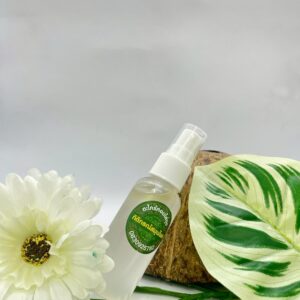 ตะไคร้หอมไล่ยุง1