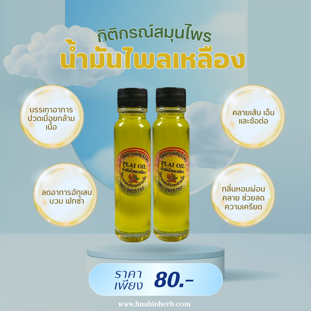 น้ำมันไพลเหลือง13 (1)