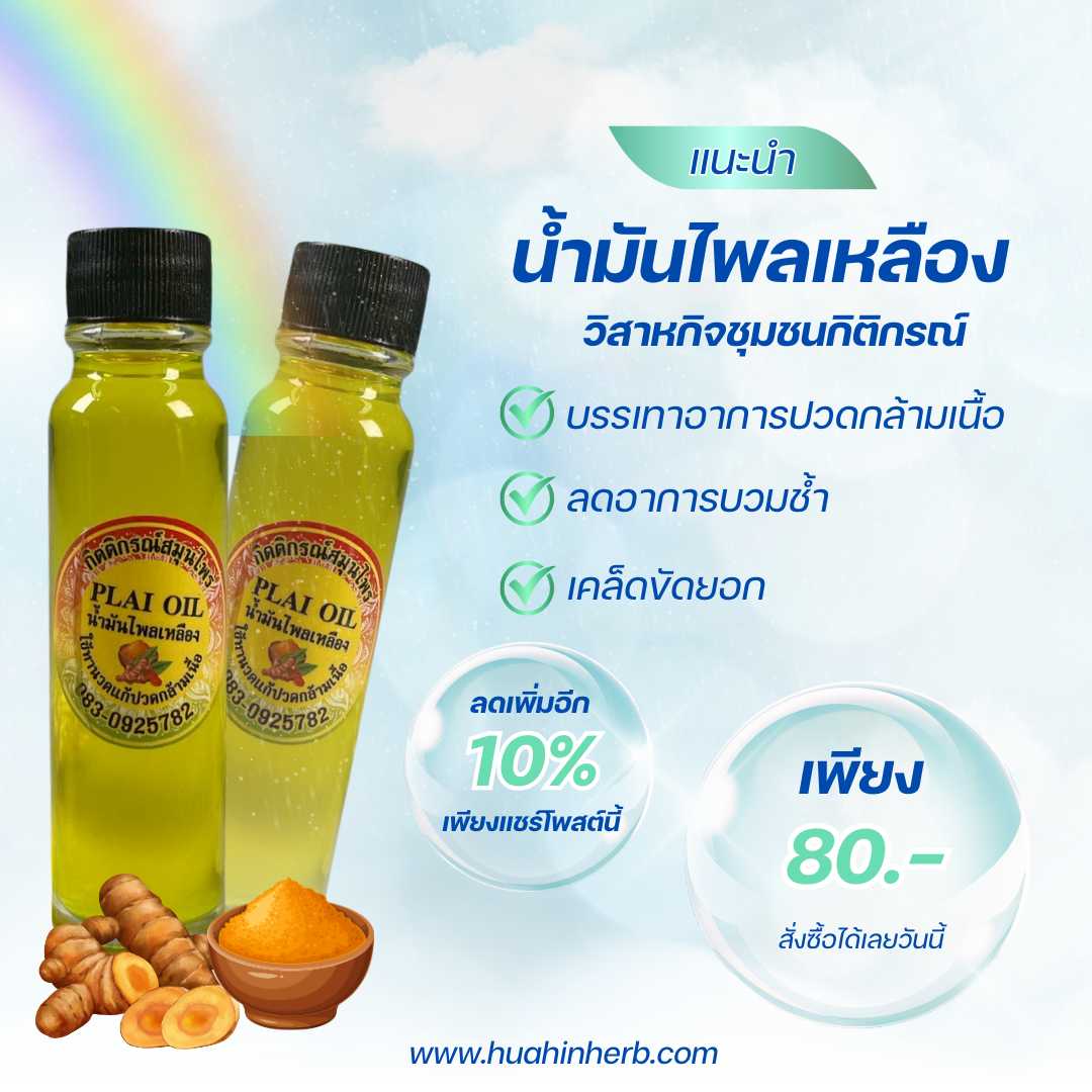 น้ำมันไพลเหลือง15